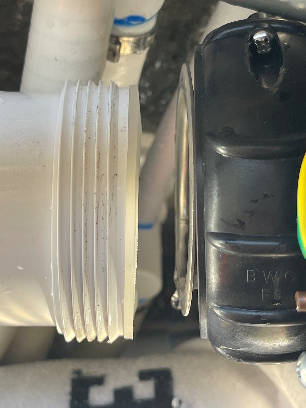Cold plunge plumbing confirmed dry after leak repair — The Cold Standard